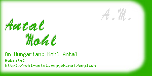 antal mohl business card
